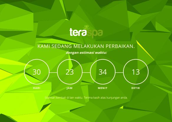 Download source code website company profile spa