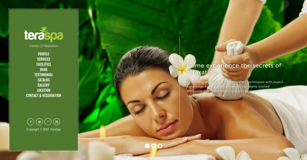 Download source code website company profile spa