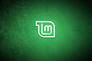 Install linux mint 18