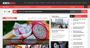 Source code website portal berita