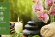 Download source code website company profile spa