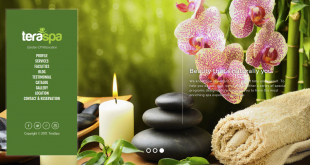 Download source code website company profile spa