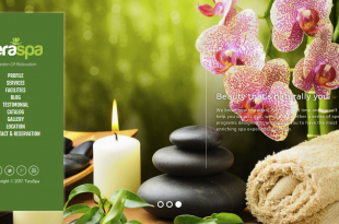 Download source code website company profile spa