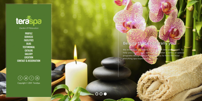 Download source code website company profile spa