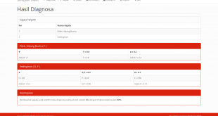 Source Code Sistem Pakar metode Dempster Shafer dengan PHP